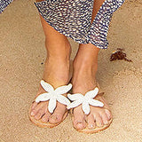 Pairmore Women Starfish Beach Flat Sandals