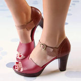 Pairmore Chunky Heel Ankle Strap Elegant Shoes Working Daily Shoes